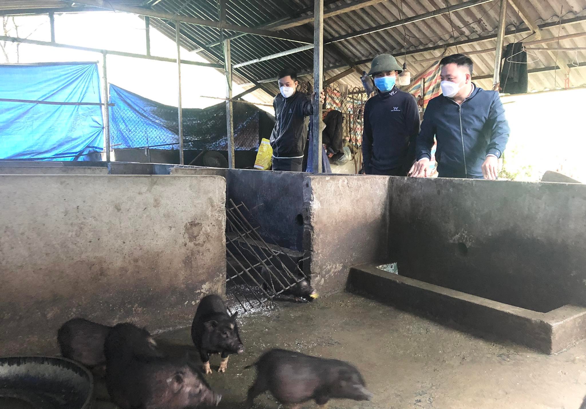HĐND xã Yên Cường giám sát Chương trình hỗ trợ phát triển gia trại lợn tại thôn Cao Sơn